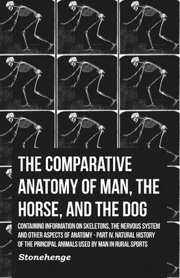 Stonehenge: Comparative Anatomy of Man, the Horse, and the D