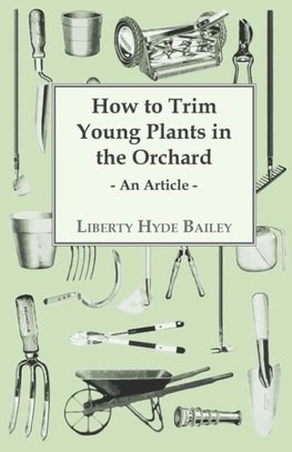 How to Trim Young Plants in the Orchard - An Article