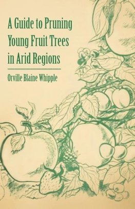 A Guide to Pruning Young Fruit Trees in Arid Regions