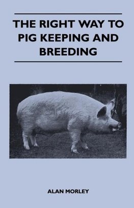 The Right Way to Pig Keeping and Breeding