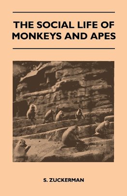 The Social Life of Monkeys and Apes