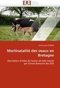 Mortinatalité des veaux en Bretagne