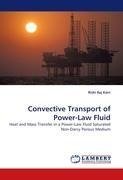 Convective Transport of Power-Law Fluid