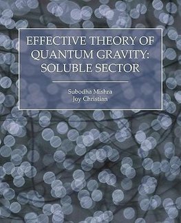 Effective Theory of Quantum Gravity