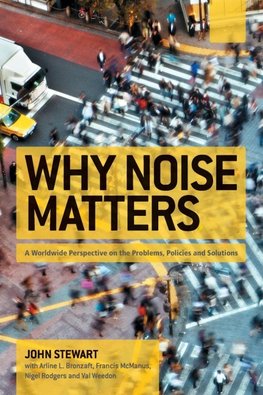 Why Noise Matters