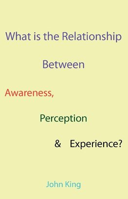 What is the Relationship Between Awareness, Perception & Experience?