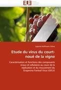 Etude  du virus du court-noué de la vigne