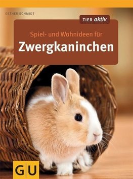 Spiel- und Wohnideen für Zwergkaninchen