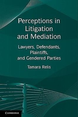 Perceptions in Litigation and Mediation