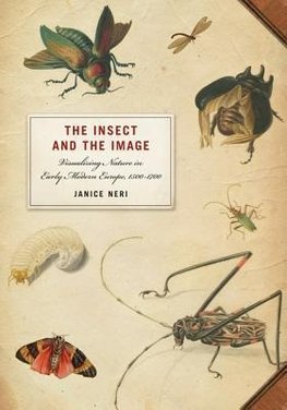 Neri, J: The Insect and the Image