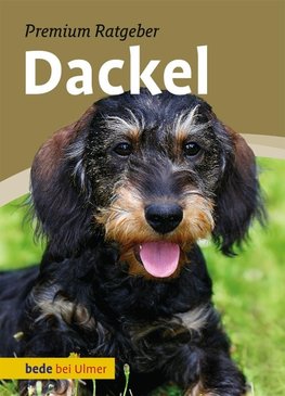 Dackel