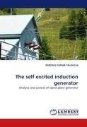 The self excited induction generator