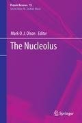 The Nucleolus