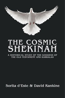 The Cosmic Shekinah