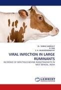 VIRAL INFECTION IN LARGE RUMINANTS