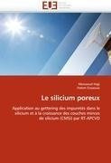 Le silicium poreux