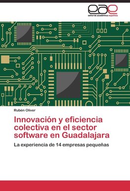 Innovación y eficiencia colectiva en el sector software en Guadalajara