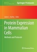 Protein Expression in Mammalian Cells