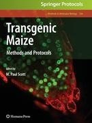 Transgenic Maize