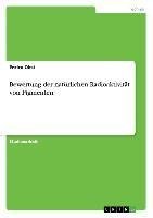 Bewertung der natürlichen Radioaktivität von Pigmenten