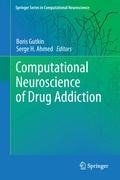 Computational Neuroscience of Drug Addiction