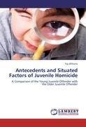 Antecedents and Situated Factors of Juvenile Homicide