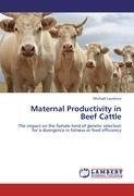 Maternal Productivity in Beef Cattle