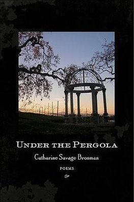 Under the Pergola