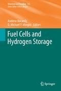 Fuel Cells and Hydrogen Storage