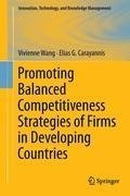 Promoting Balanced Competitiveness Strategies of Firms in Developing Countries