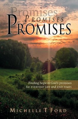 Promises, Promises, Promises