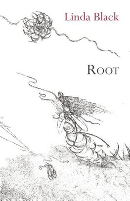 Root