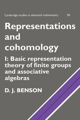 Representations and Cohomology