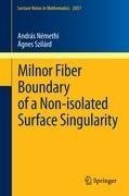 Milnor Fiber Boundary of a Non-isolated Surface Singularity