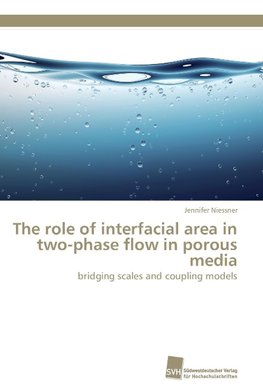 The role of interfacial area in two-phase flow in porous media