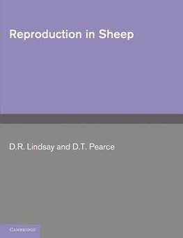 Reproduction in Sheep