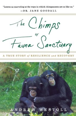 The Chimps of Fauna Sanctuary