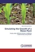 Simulating the Growth of a Maize Plant