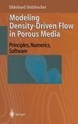 Modeling Density-Driven Flow in Porous Media