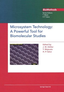 Microsystem Technology