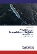 Prevalence of Campylobacter Isolated from Water