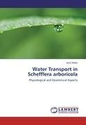 Water Transport in Schefflera arboricola