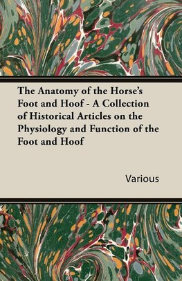 ANATOMY OF THE HORSES FOOT & H