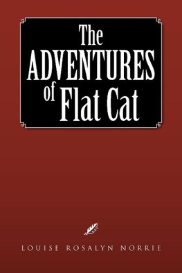 The Adventures of Flat Cat