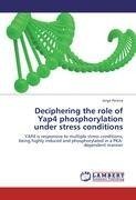 Deciphering the role of Yap4 phosphorylation under stress conditions