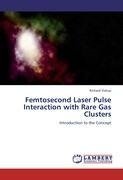 Femtosecond Laser Pulse Interaction with Rare Gas Clusters