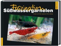 Faszination Süßwassergarnelen