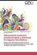 Atenuación lumínica, productividad y biomasa en laguna facultativa