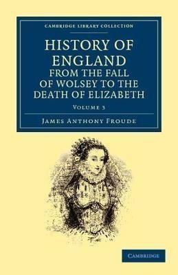 History of England from the Fall of Wolsey to the Death of Elizabeth - Volume 3