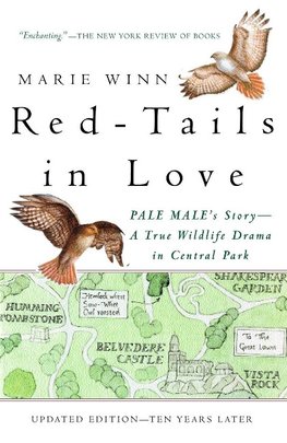 Red-Tails in Love